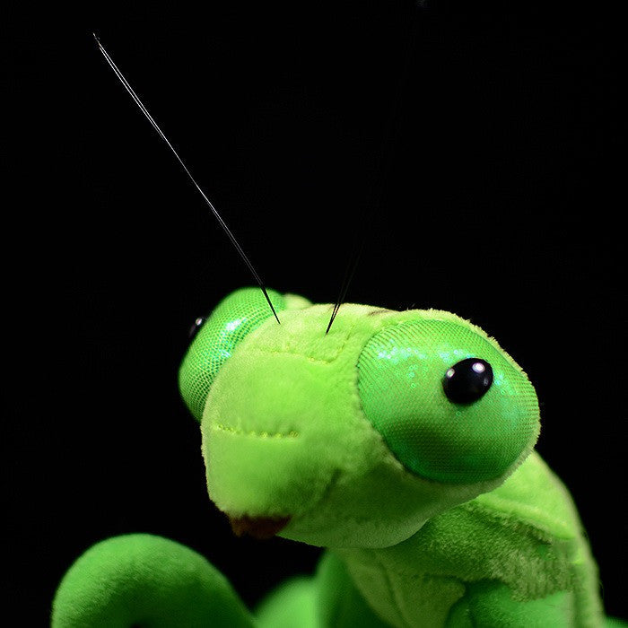 Lifelike Mantis Plush Toys Mantis Stuffed Animals, stuffed animals, weighted stuffed animal, stuffed animal​, highland cow stuffed animal, Plush Toys, Soft Toys, Teddy Bear, plush​, plushies, Decognomes, Plush doll