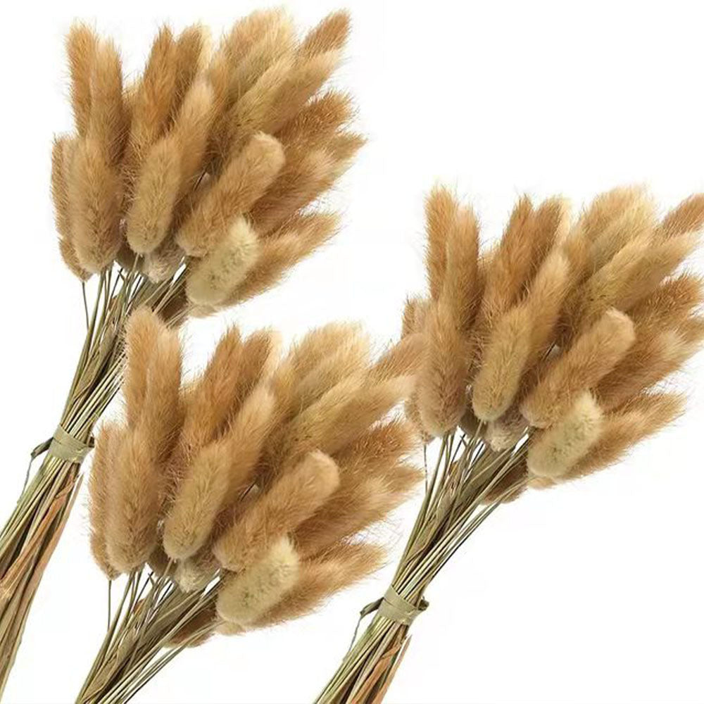 Autumn Natural Plant Dried Papas Grass Living Room Party Decoration Small Reed Bouquet