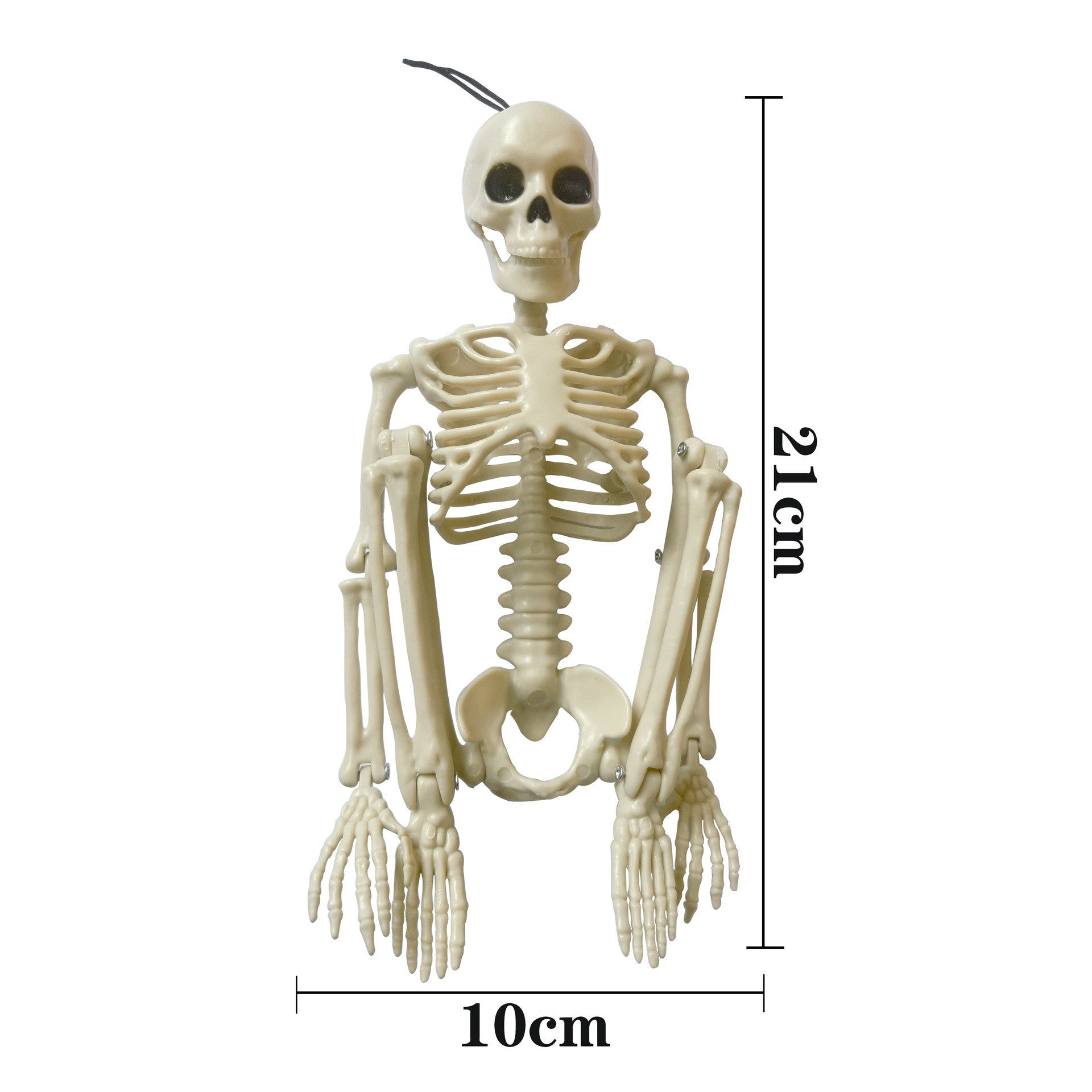 Halloween Skull Skeleton Simulation Body Plastic Decoration Props