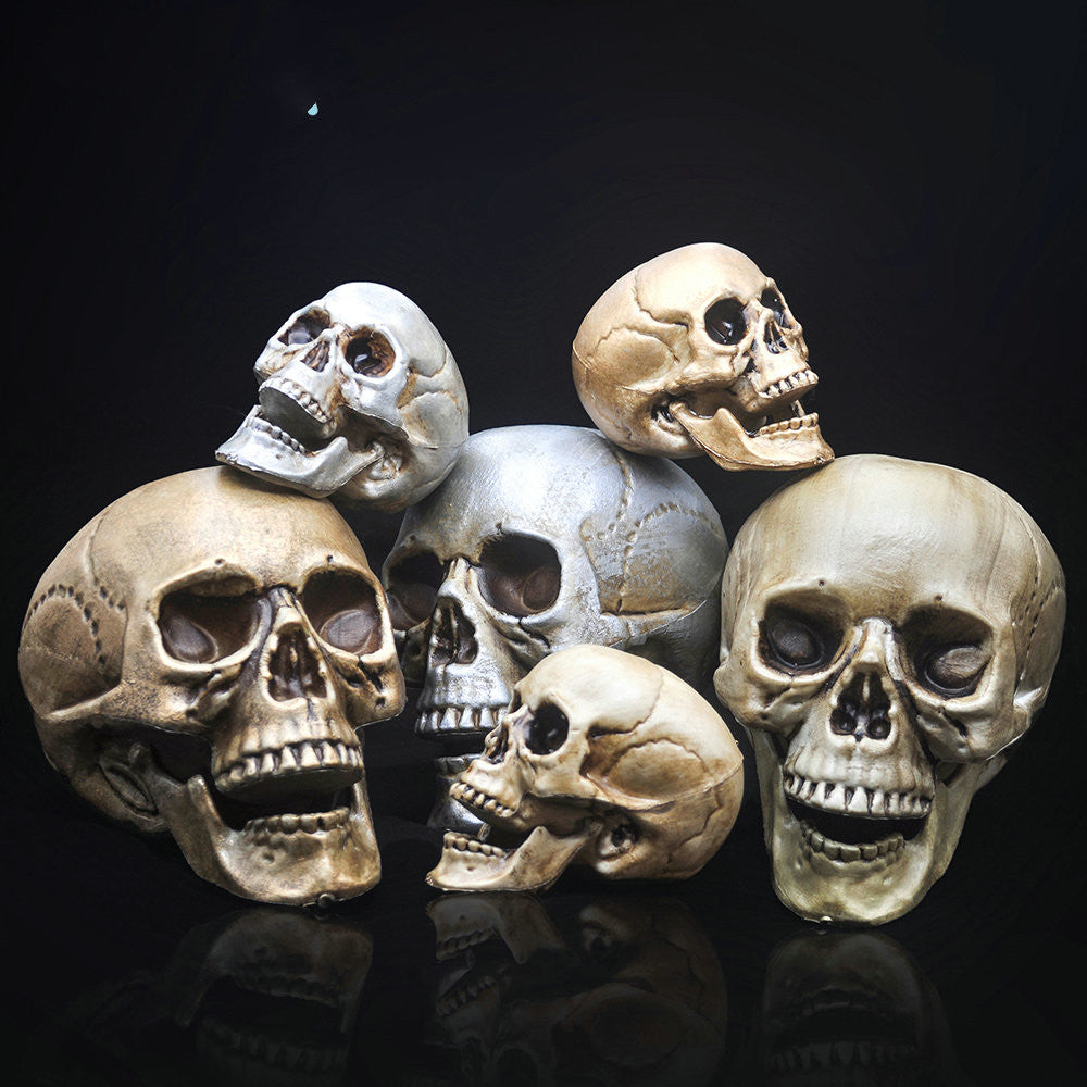 Skull Decor Prop Skeleton Head Plastic Model Halloween, halloween skeleton, skull, skull head, skeleton plastic head, halloween decoration