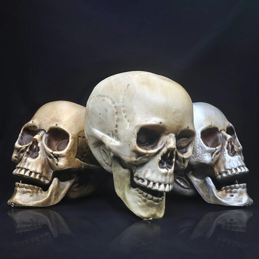 Skull Decor Prop Skeleton Head Plastic Model Halloween, halloween skeleton, skull, skull head, skeleton plastic head, halloween decoration