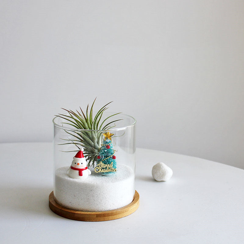Funny Plant Christmas Gift Glass Flowerpot, Christmas Ornaments, Santa Claus Ornaments, Christmas Gift, Christmas Flowerpot, Christmas Plant